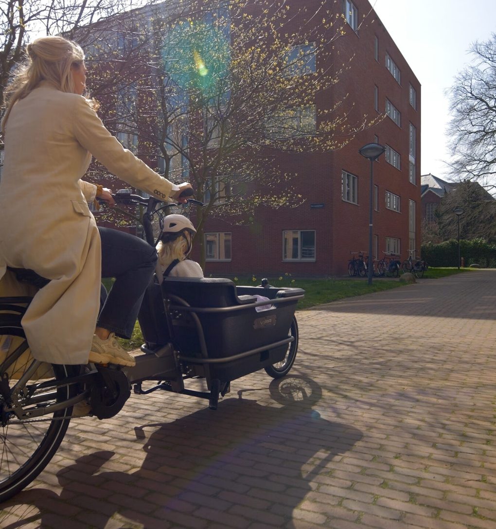 P1021032.00_00_44_08.Still012